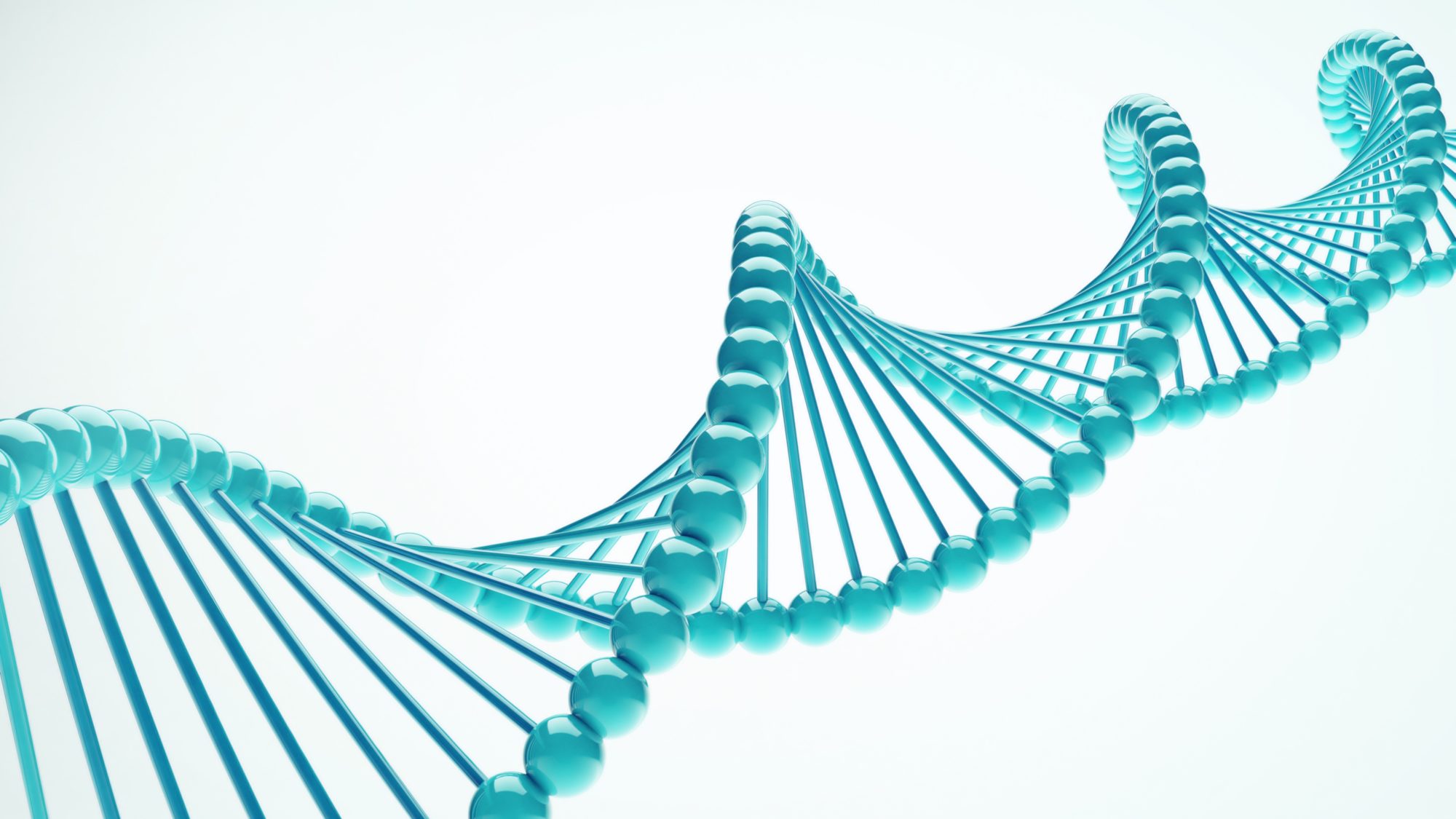 Genomia: Genealogical DNA-tests